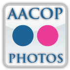 Flickr Icon